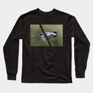 Black-Capped Chickadee Long Sleeve T-Shirt